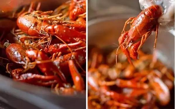 福州口碑最差的十家餐厅,福州最近比较火的餐厅