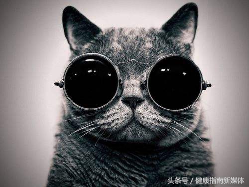 要想眼睛好就戴千里眼眼镜,要想眼睛好看就得有神吗