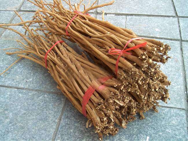 山里的一种野菜,路边常见的一种野草