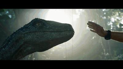 国产电影保护月是真的吗,国产电影保护月