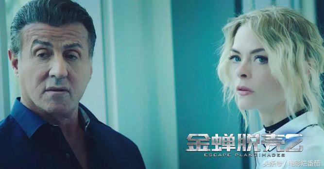 国产电影保护月是真的吗,国产电影保护月