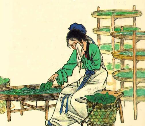 身轻委回雪罗薄透凝脂,身轻委回雪罗薄透凝脂是什么意思