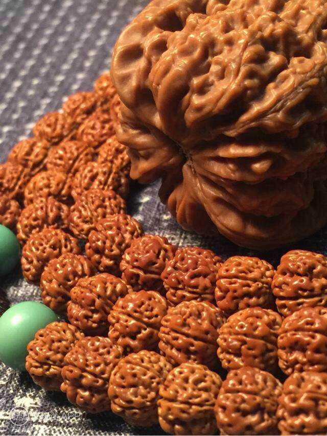 小金刚菩提如何快速清理干净,小金刚快速深度清理方法