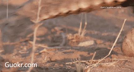 代购骗局揭秘朋友圈,揭露各种海外代购真相