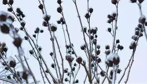 gif动图素材免抠图,自媒体常用的图片素材网站