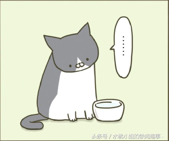 咪咪趣事漫画：为何把爪子伸进去呢？