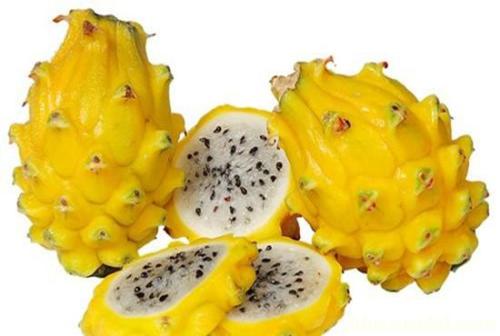 世界上最贵的水果十大排名,世界十大最贵水果排名