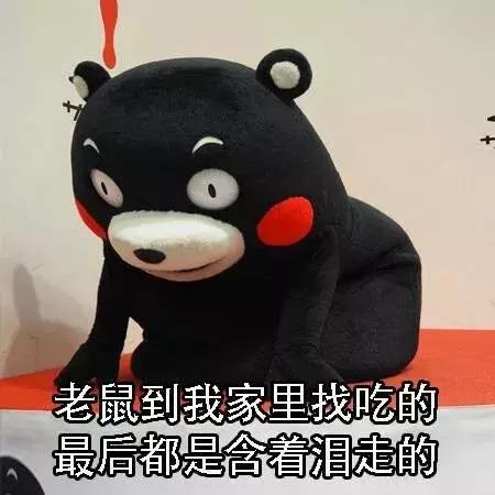 2020年贵州各地平均工资,2020年贵州省工资排行