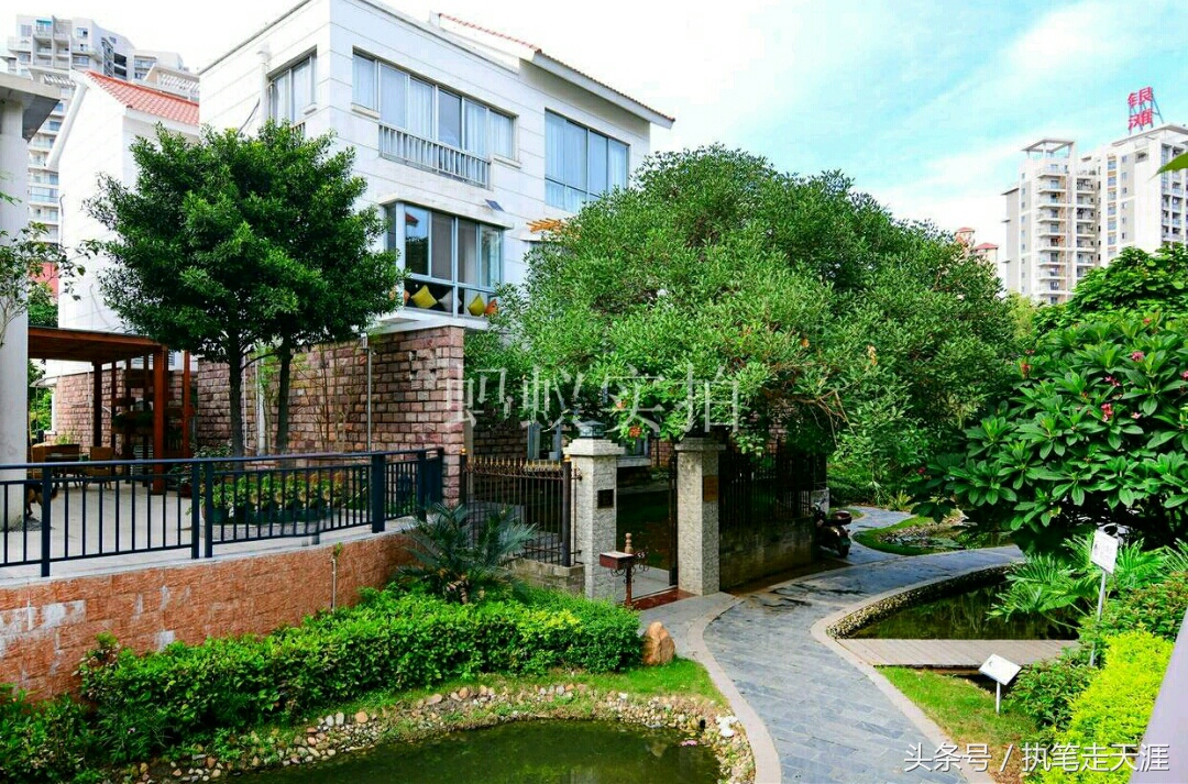 广东夫妇年入30亿,广东夫妇赚1亿