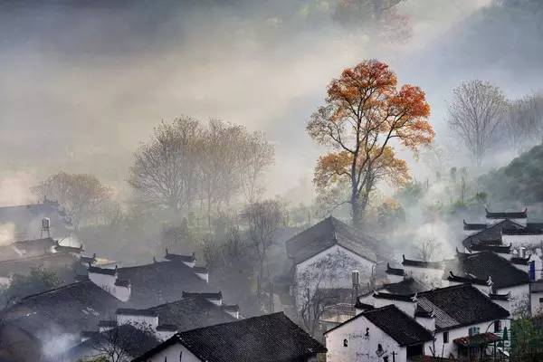 人生的真谛的小说,人生的真谛