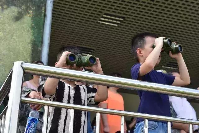 盘点军人与家人团聚的感动瞬间,这组军人和儿子的照片令人动容