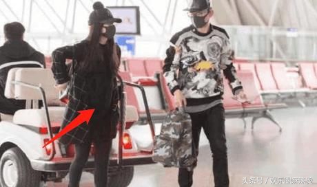 谢娜张杰四胎怀三胎了吗,谢娜生三胎张杰开心吗