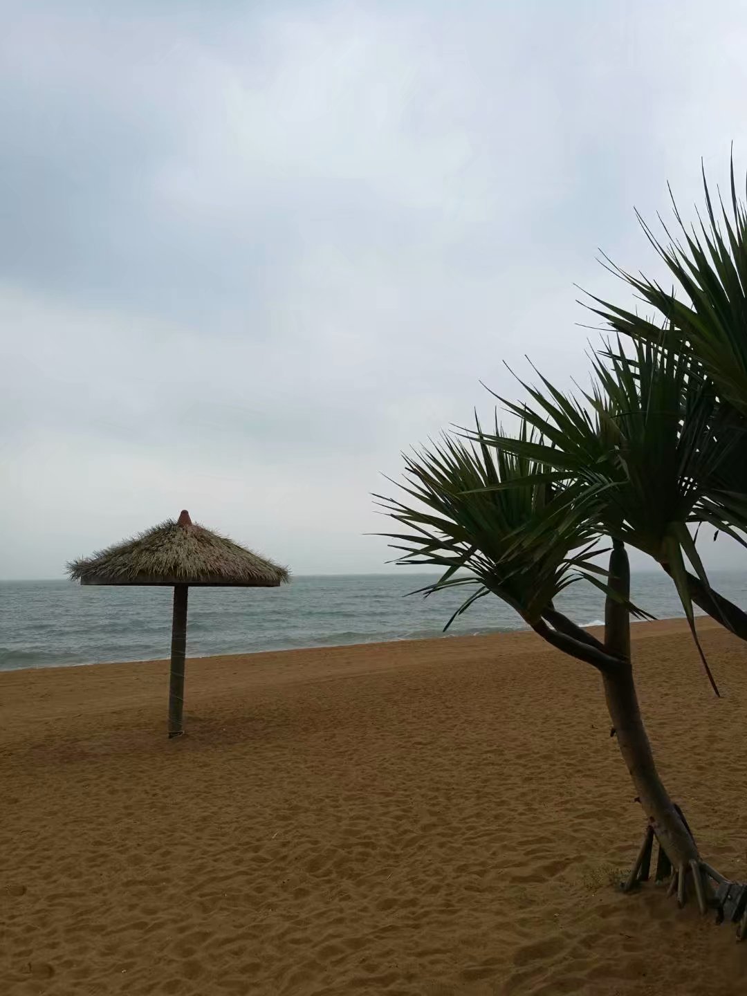 海南吸引游客,海南吸引人的地方