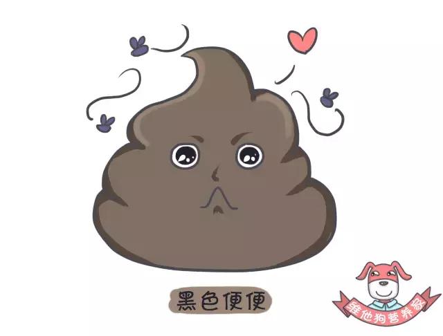 这些肠道知识你知道吗,关于大便这些小知识早知道
