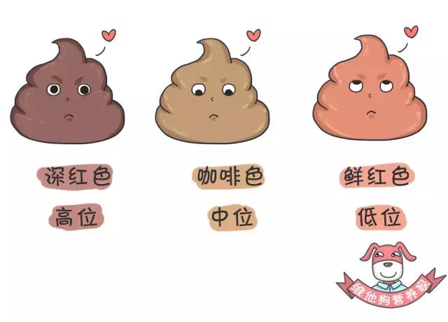 这些肠道知识你知道吗,关于大便这些小知识早知道