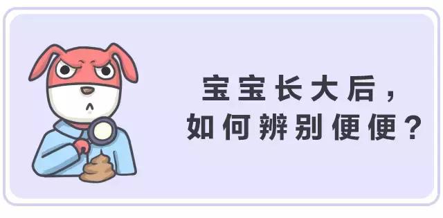 这些肠道知识你知道吗,关于大便这些小知识早知道