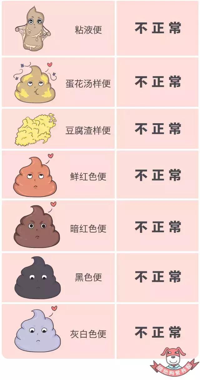 这些肠道知识你知道吗,关于大便这些小知识早知道