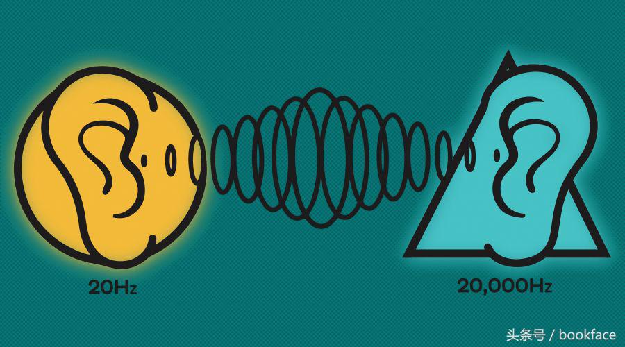 多大的声音能把耳朵震聋,多大的声音能把鱼震死