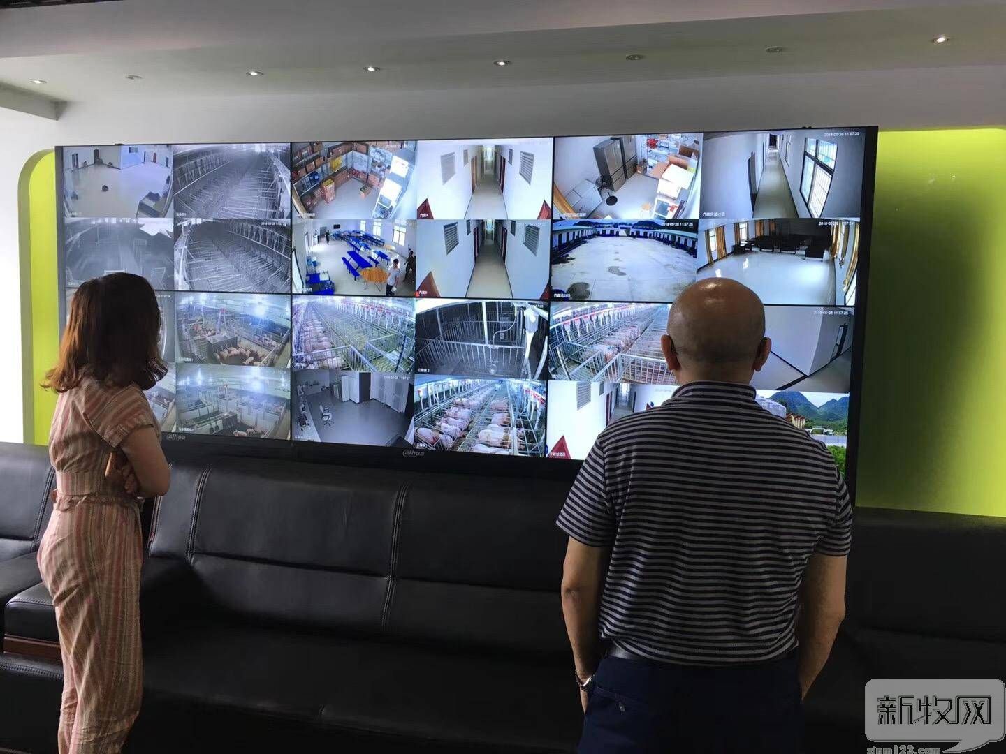 广安刘满秋,鑫广安刘满秋现状