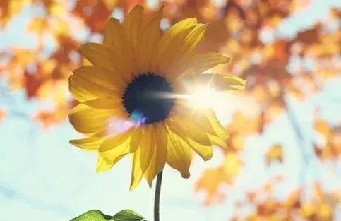 高一函数从零开始学习方法,高中函数学习方法大全