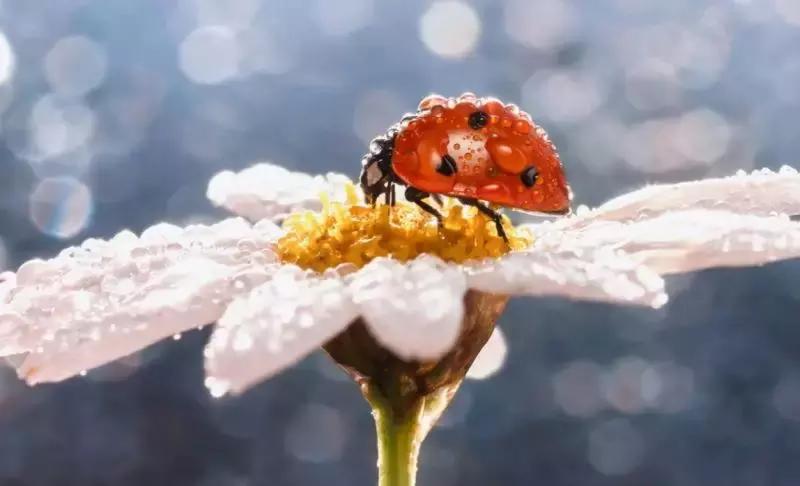 高一函数从零开始学习方法,高中函数学习方法大全