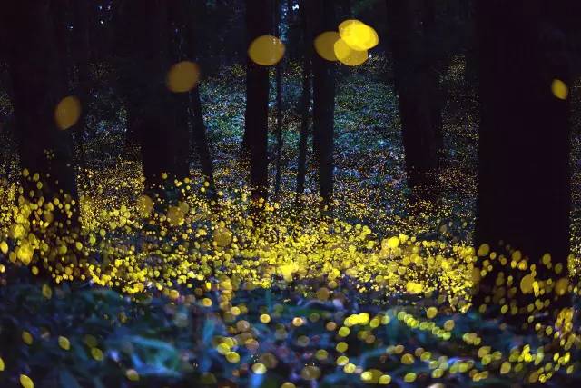 让人沉醉的沙巴,沙巴好地方