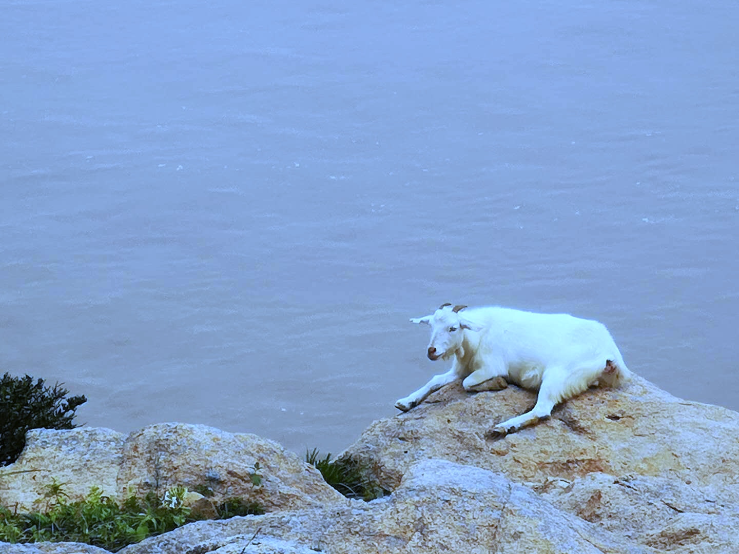 嵊泗旅游有啥值得回忆,嵊泗列岛旅游测评