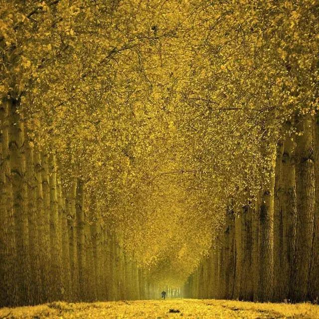 催眠到底有什么奥秘,揭开催眠奥秘