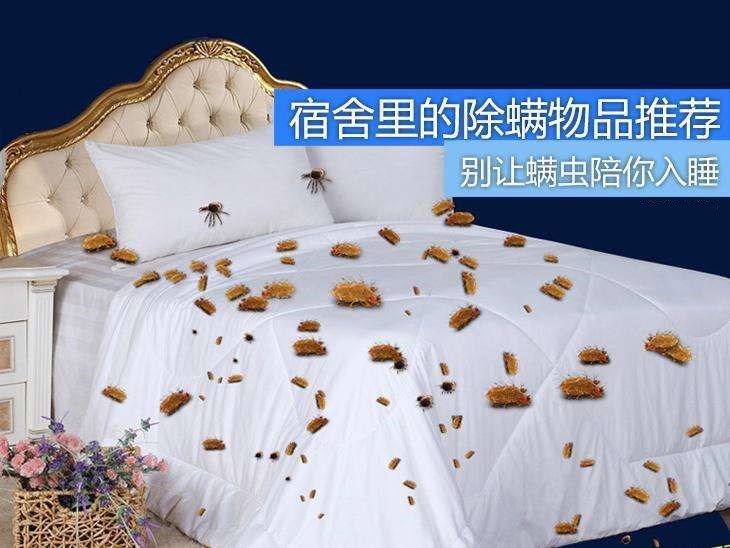 螨虫图片大全介绍,怎样去除床上的螨虫