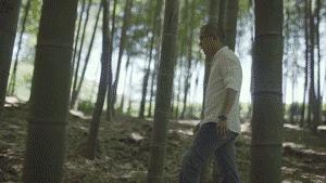 他找来浙大团队,用茶研发洗护用品,成了日本人都在代购的新国货