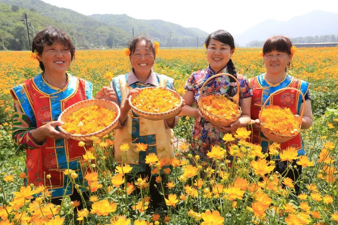 创业贷款政策的意义,创业担保贷款政策2023