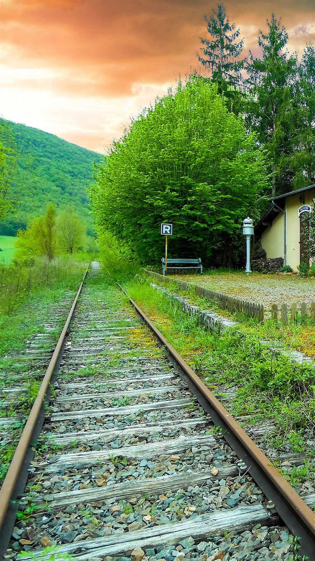 手机美丽壁纸,柔美如画的手机壁纸