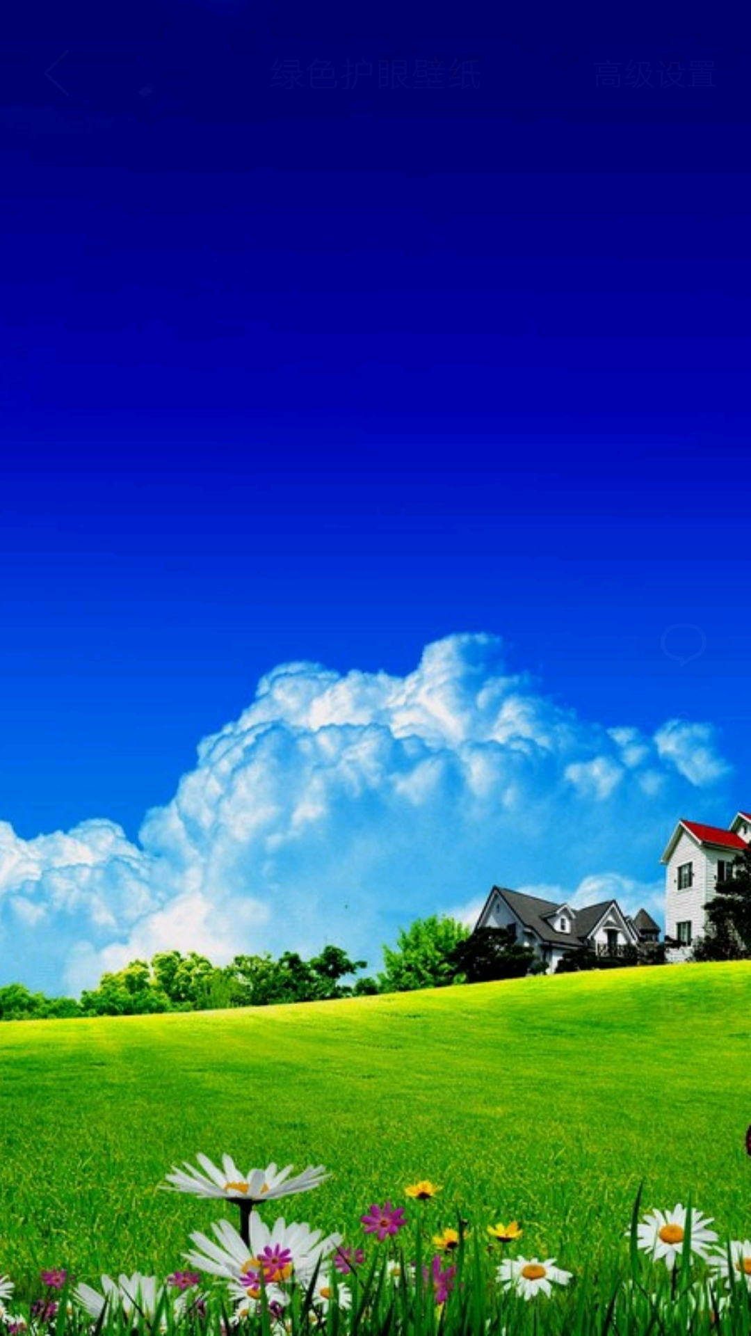 手机美丽壁纸,柔美如画的手机壁纸