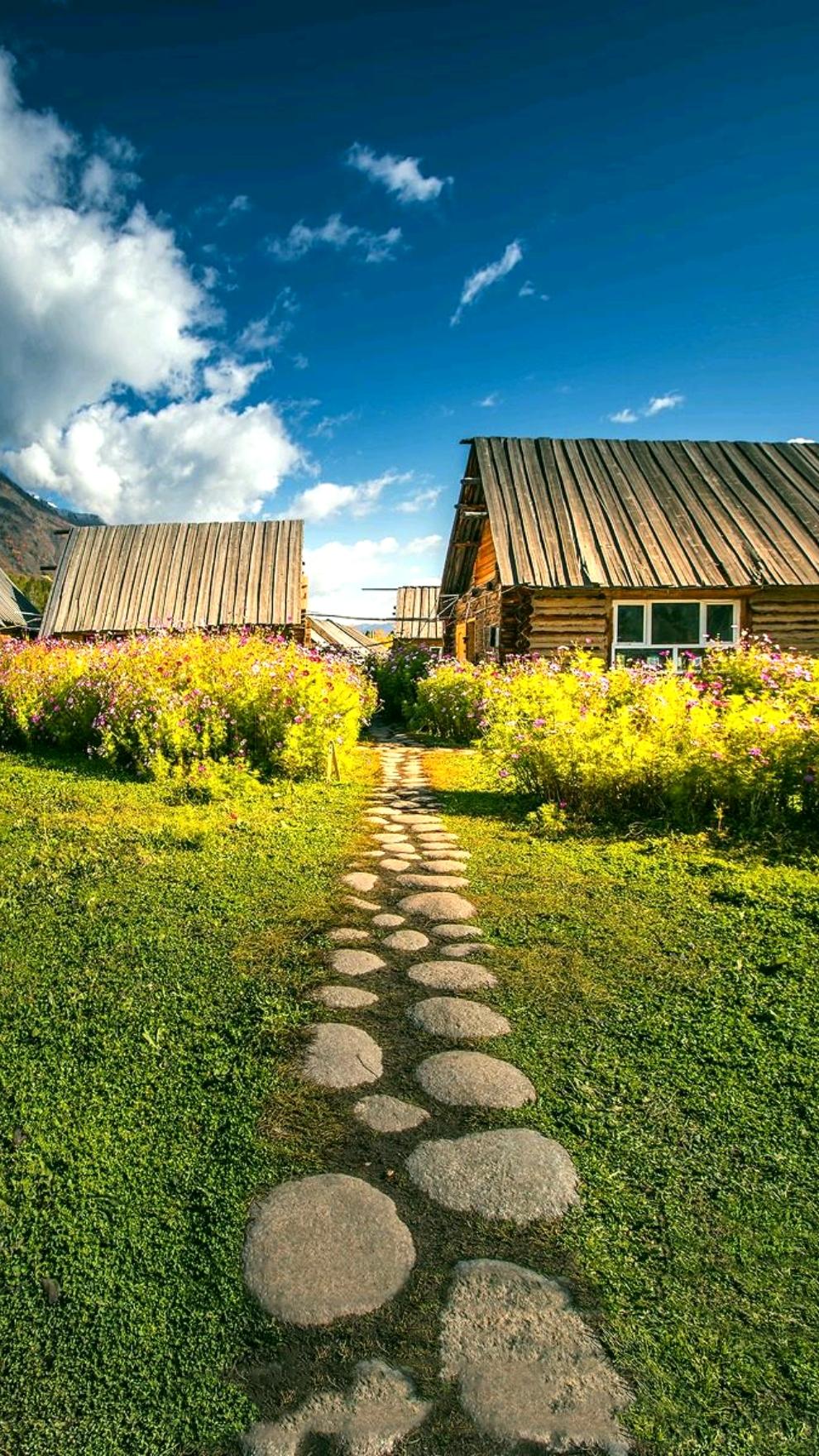 手机美丽壁纸,柔美如画的手机壁纸