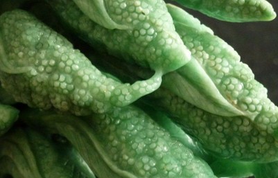 史上最全翡翠挂件含义