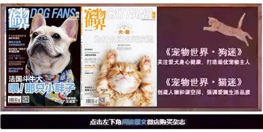 铲屎官喂猫技巧,喵星人铲屎官必备