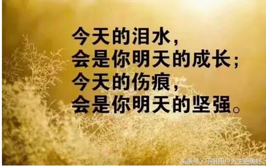 碌碌无为而羞耻不因虚度年华而悔,无谓而羞耻也不因虚度年华而悔恨