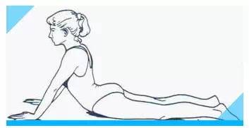 大幅度减腰操最新,肩颈腰操每天10分钟全套