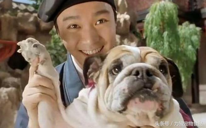 你给宠物起过哪些奇葩的名字？盘点那些让人印象深刻的宠物名字！