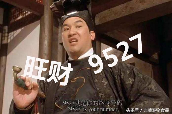 你给宠物起过哪些奇葩的名字？盘点那些让人印象深刻的宠物名字！