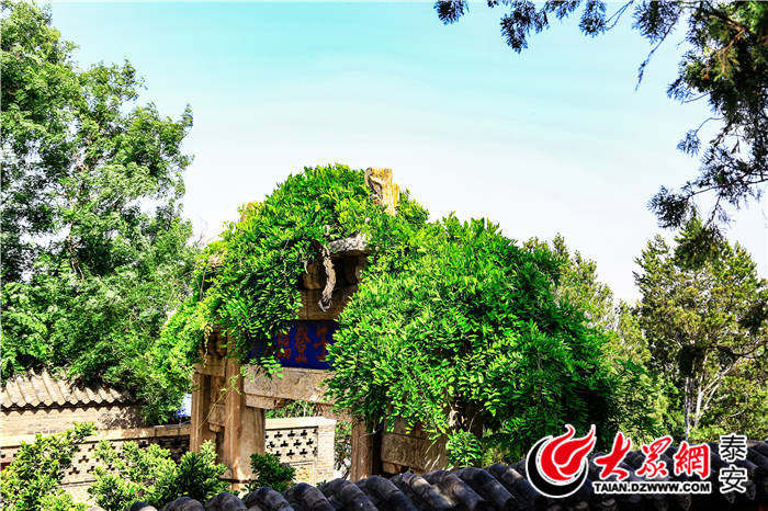 红门的泰山老奶奶庙在什么位置,红门泰山老奶奶和泰山奶奶一样吗