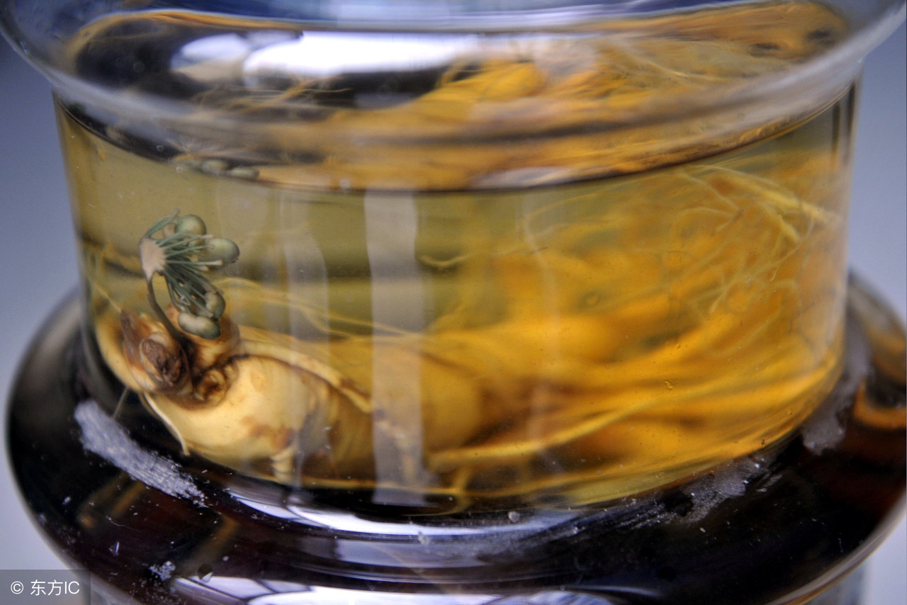 用什么泡酒可以活血化瘀美容养颜,补气血养颜泡酒配方大全