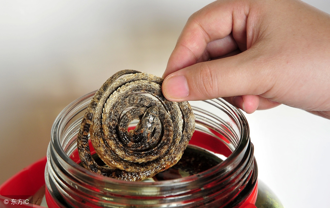 用什么泡酒可以活血化瘀美容养颜,补气血养颜泡酒配方大全