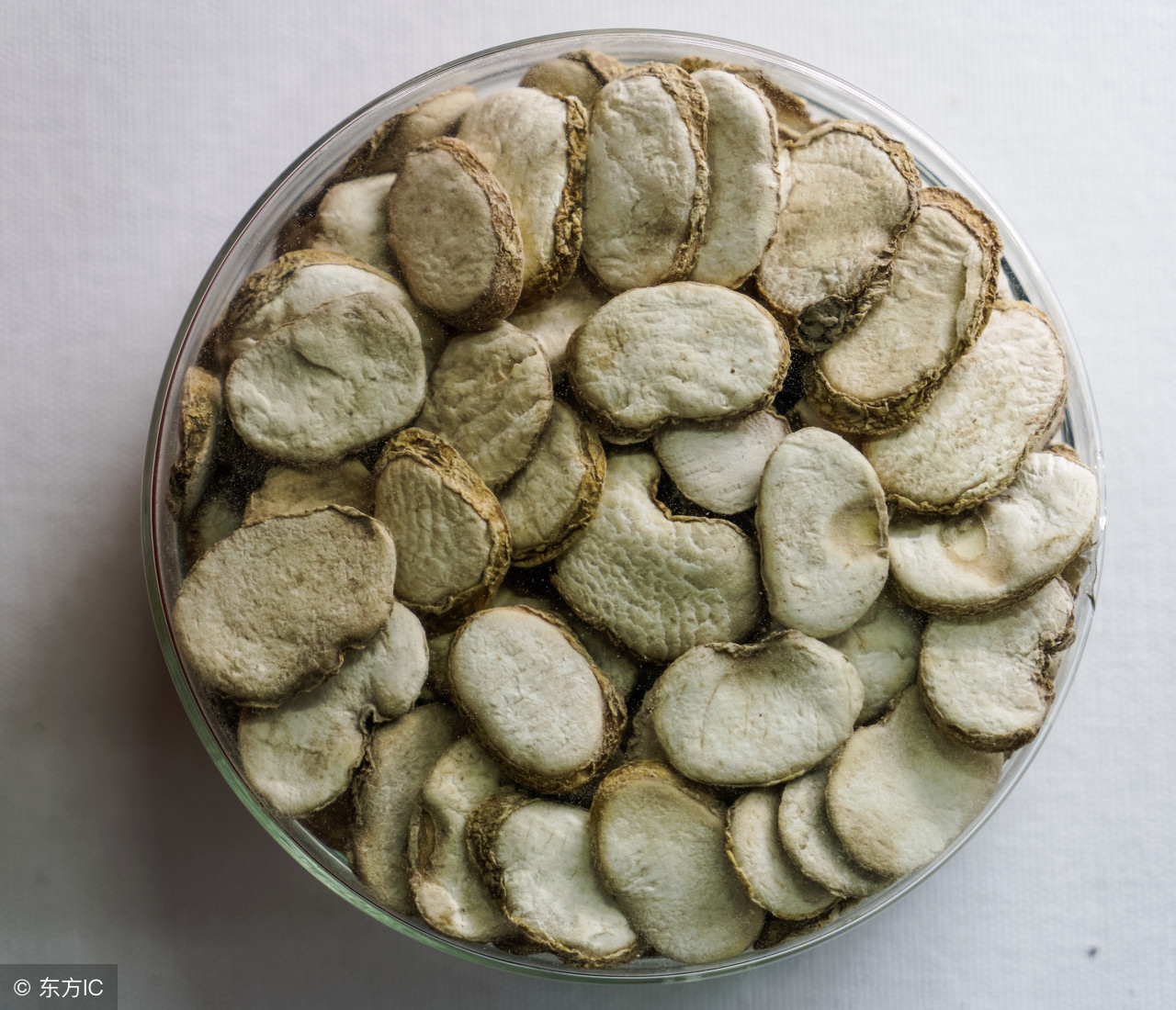 中药浙贝母归经,浙贝母和土贝母的辨识