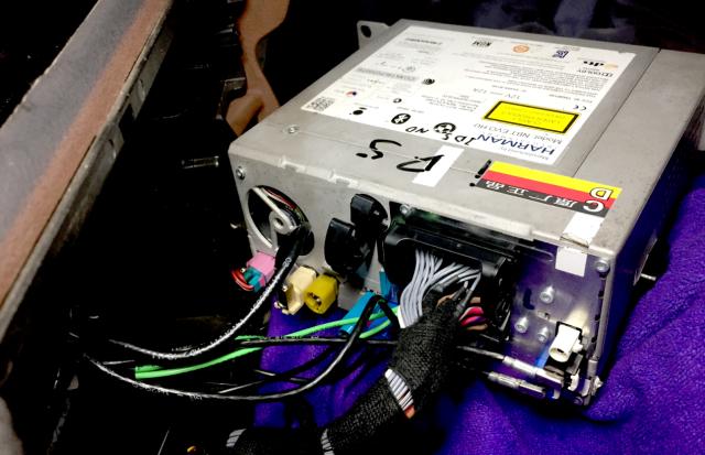 小白鼠出生了要做什么,小白鼠是怎么诞生的