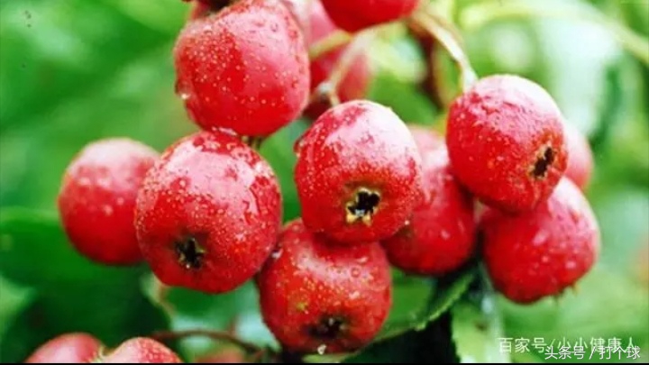 女大学生刚毕业不久就被查出子宫内膜癌,原因竟来自她的黑人男友