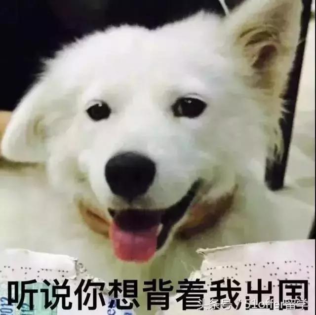 护照出入境记录有问题,护照出入境要注意什么