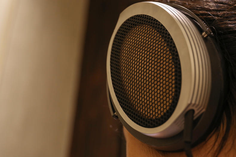 王思聪森海塞尔100万耳机,森海塞尔王思聪同款