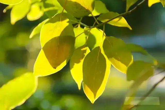 阜阳五中在哪个位置,阜阳五中属于什么档次