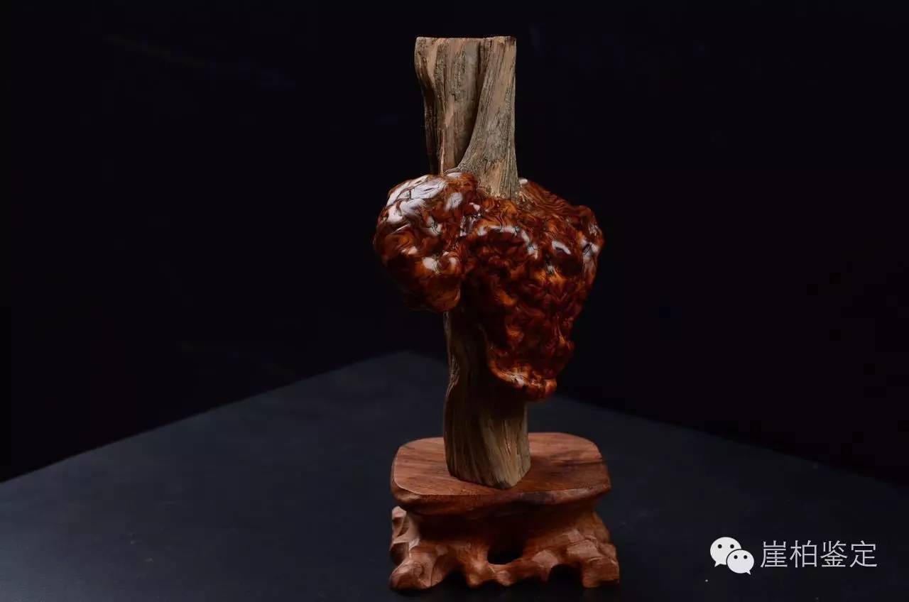 崖柏陈化料打磨方法和步骤图解,太行崖柏老料和陈化料有什么区别